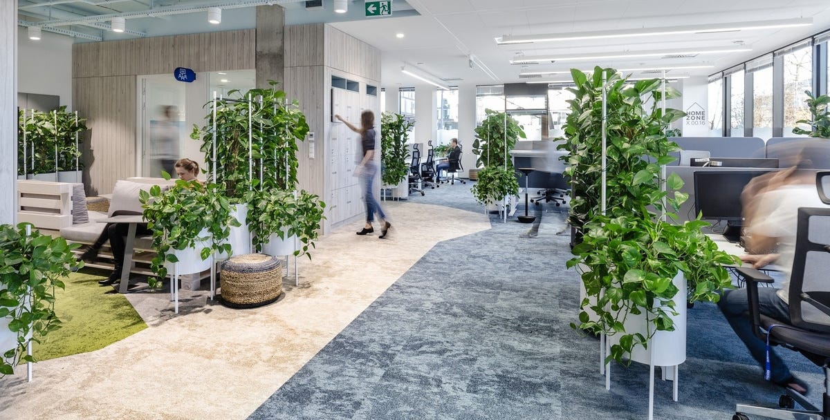 The Biophilic Office: What It Is And Why It Works | by DforDesign | Medium