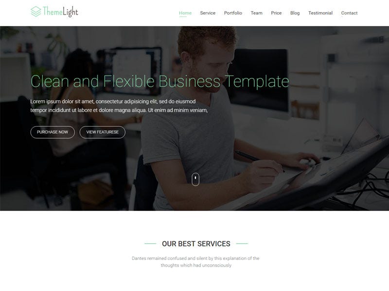 A Free Twitter Bootstrap Business Template ThemeLight By Theme 