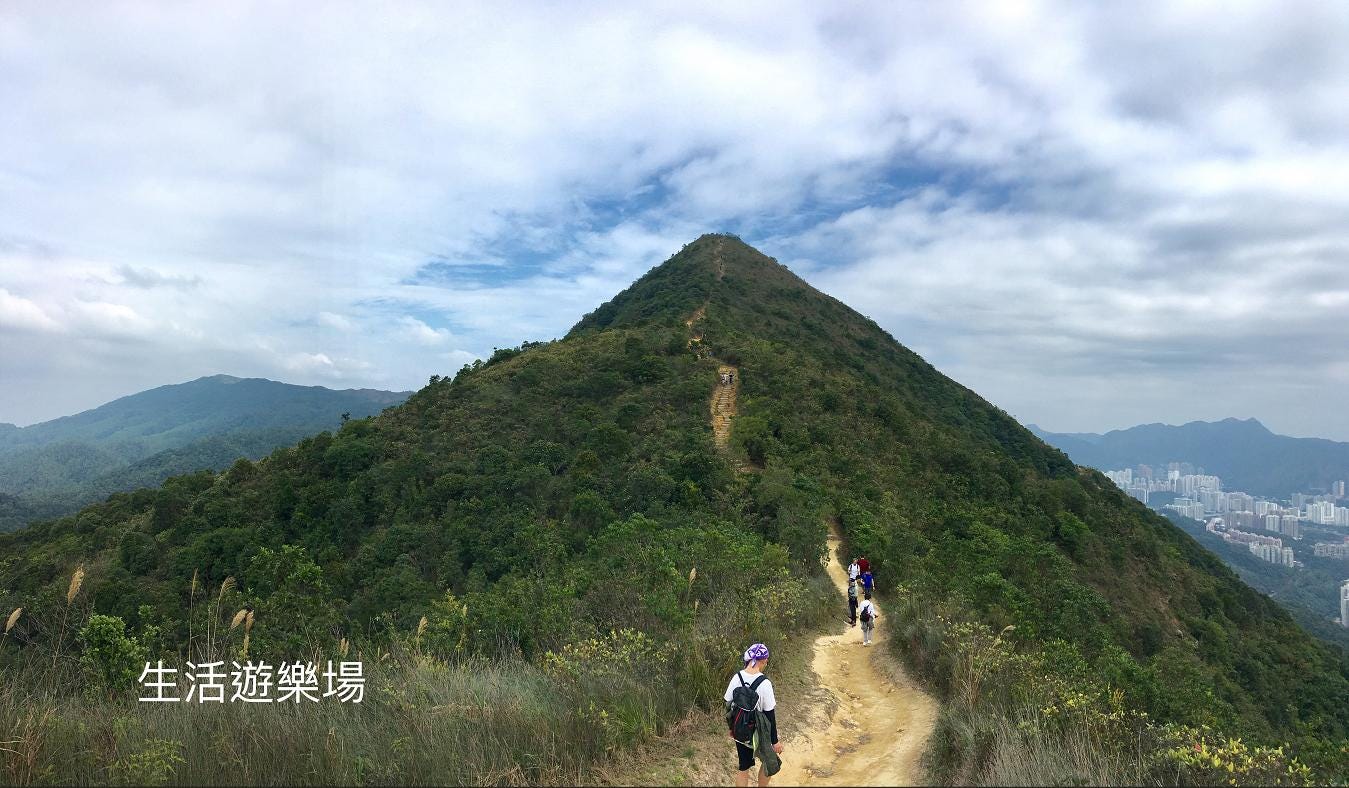 針山 蘇菲 生活遊樂場 Medium