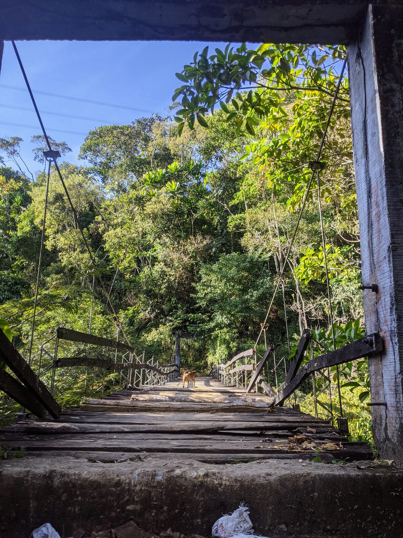 The Bridge Rwjbh: 5 Reasons You Need To Visit It Now - ak4tjhb