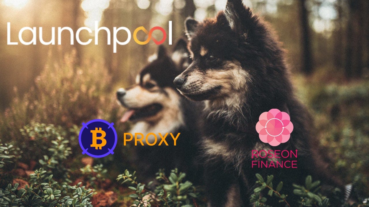 finance puppies