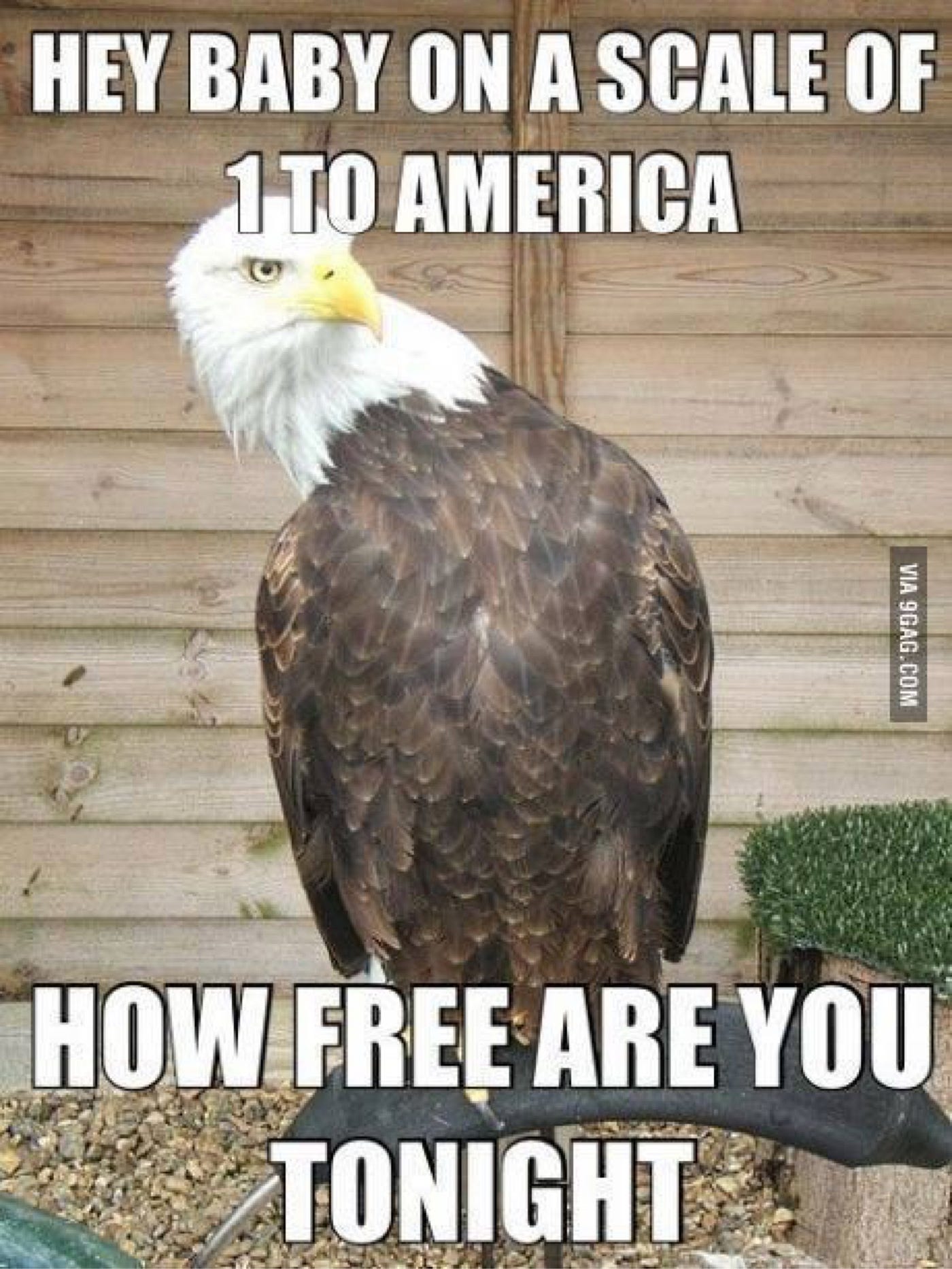 Welcome To America Where On The Internet You Will Find Memes Like This By Our Philo Sofia Medium Welcome To America Where On The Internet You Will Find Memes Like This By Our Philo Sofia Medium