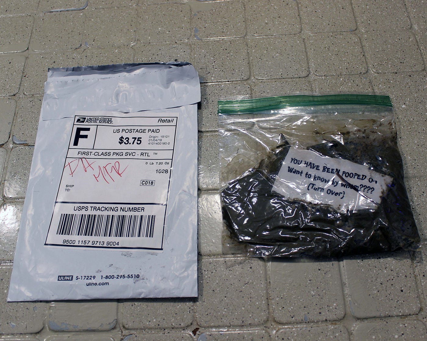 A New Kind of Movement I received poop in the mail by Kathy A