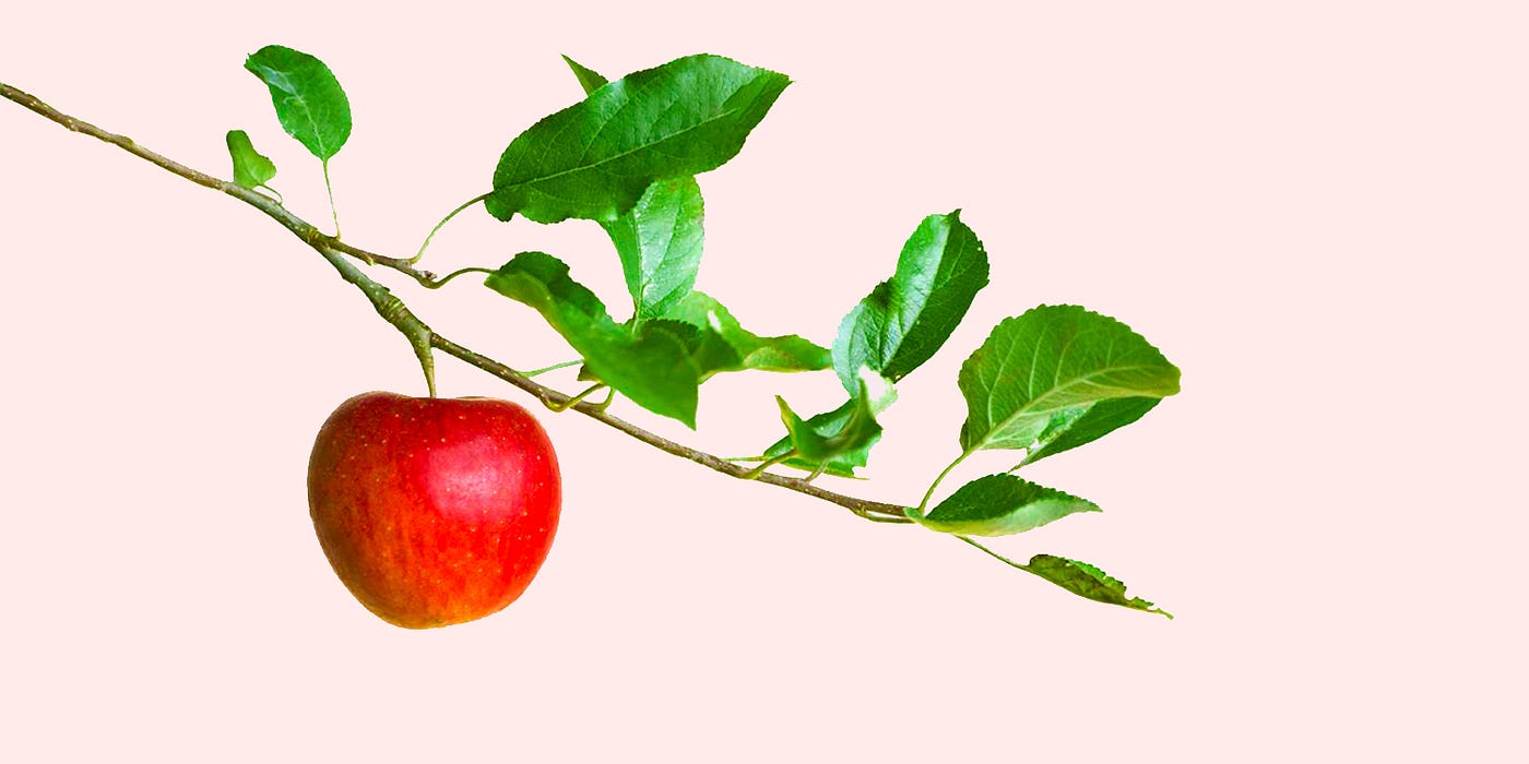The Power of LowHanging Fruit. And What It Means For The DTC… by