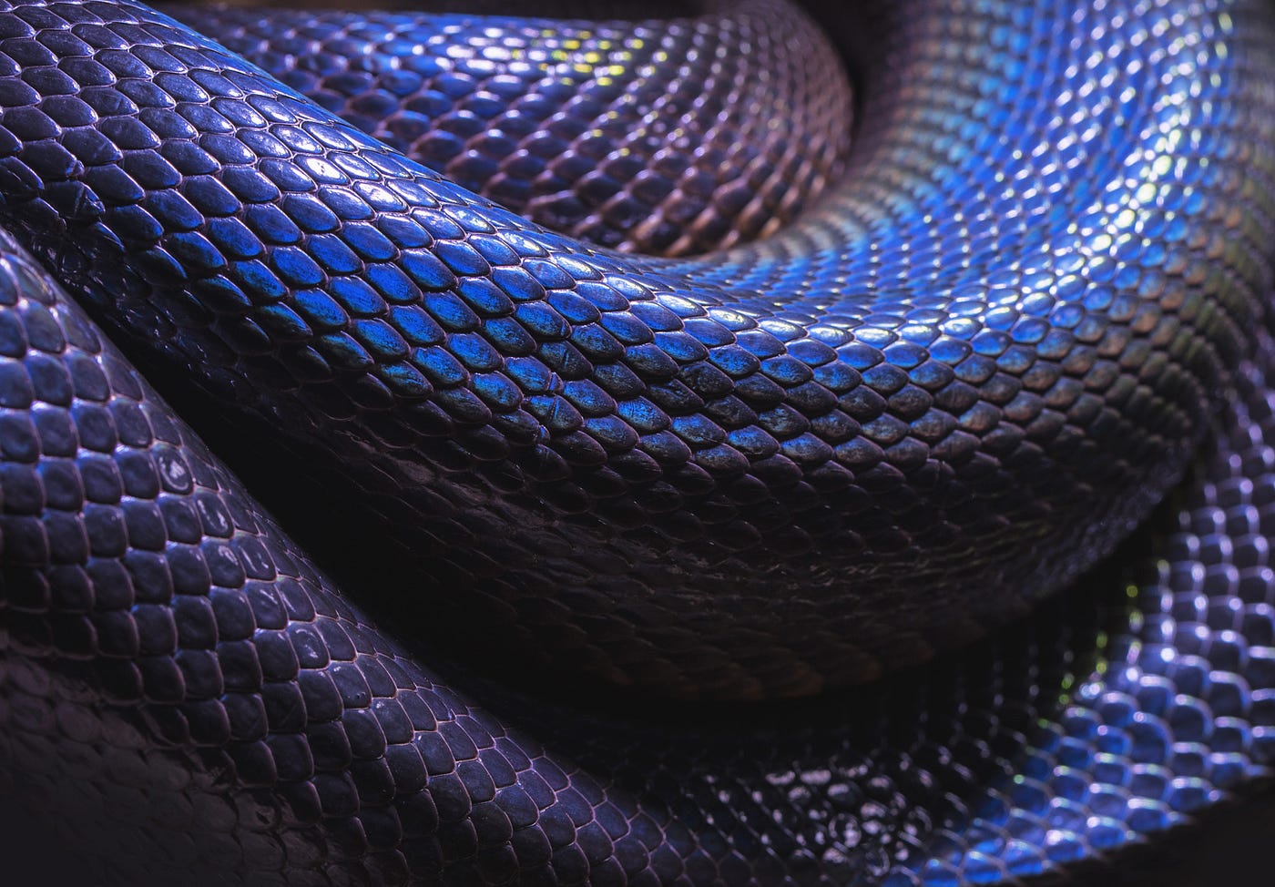 Learning to play snake at 1 million FPS | by Oscar Knagg | Towards Data  Science
