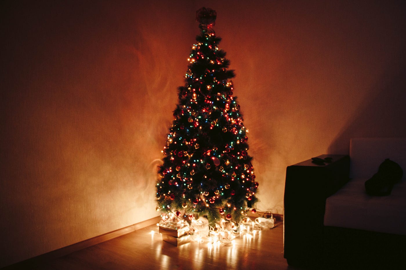 The Desperate Ravings Of A Dying Christmas Tree by Amy Morrison