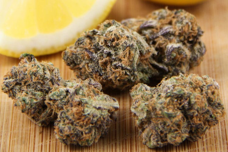These are the Top 5 Strongest Strains of Cannabis by HiGrade Medium