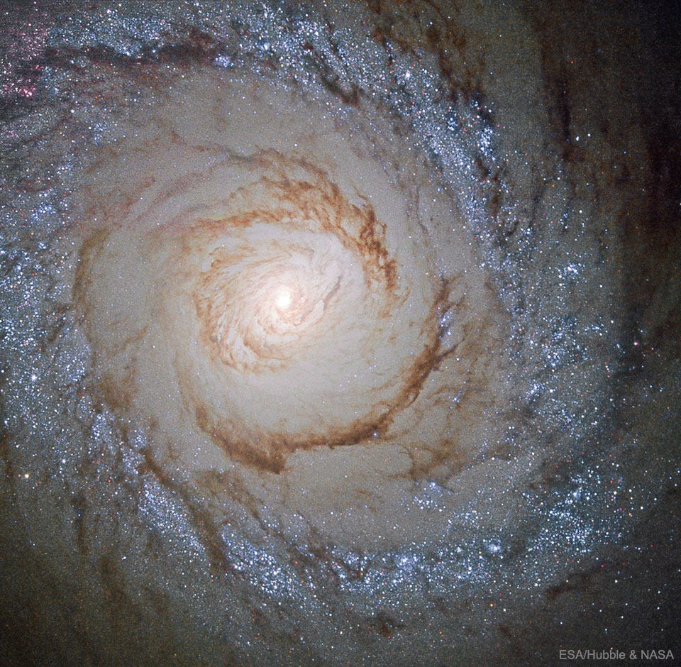 A zoomed-in image of the Messier 94 spiral galaxy. A bright white oval sits at the center with spirals of dust in a bright haze around it. Towards the edges, countless bright white stars peak through the spirals of dust.