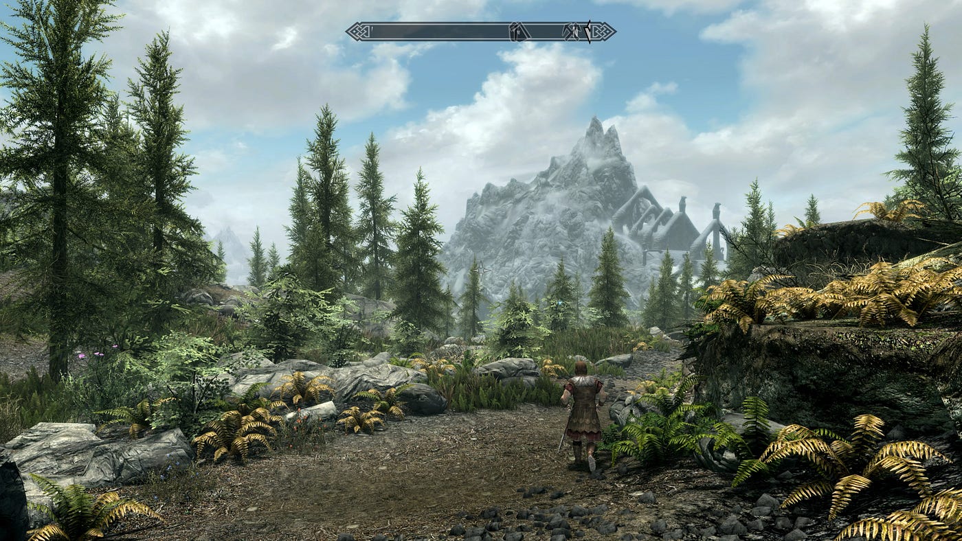 Skyrim Has Problems On PS4 Pro. Sony's upgraded console is the worst… | by  Alex Rowe | Medium