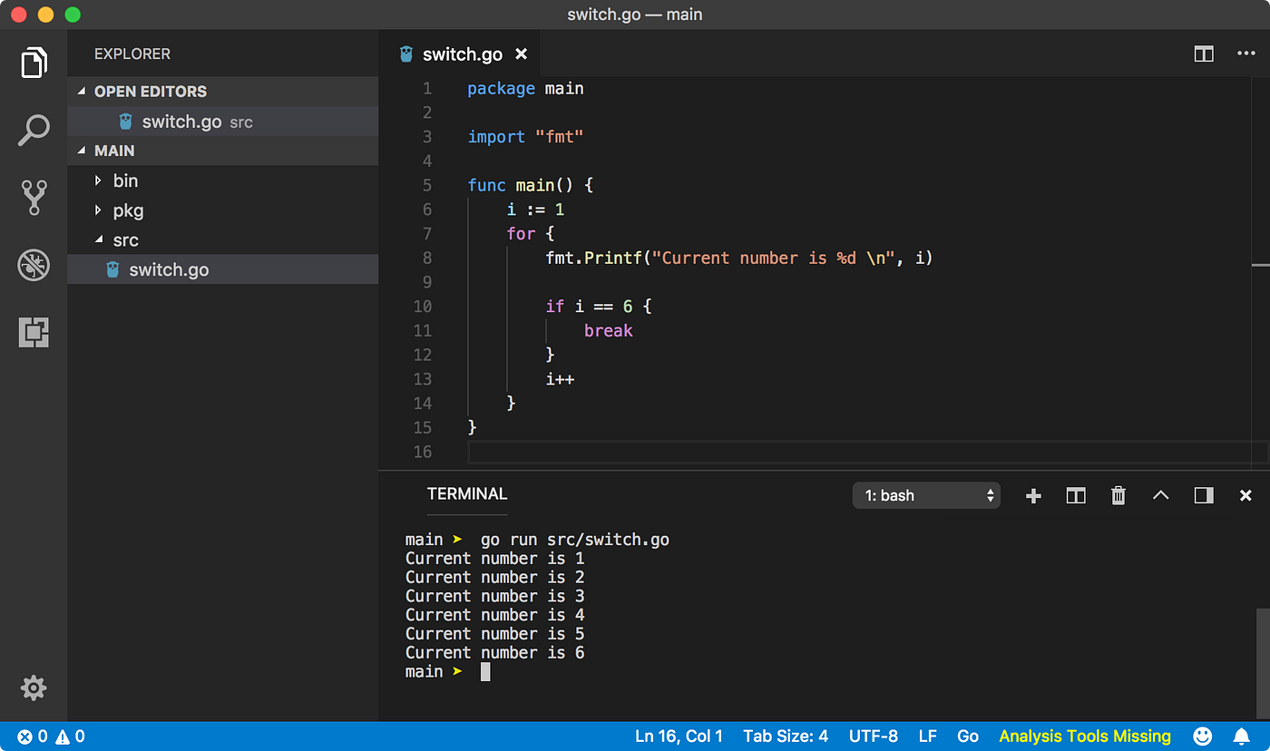 Anatomy of Conditional Statements and Loops in Go | by Uday Hiwarale ...