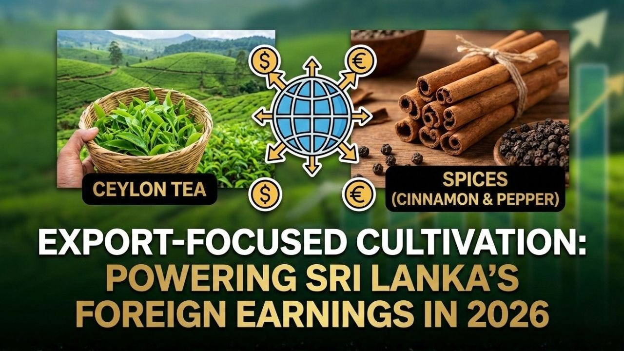 Export-Focused Cultivation: Crops Powering Sri Lanka’s Foreign Earnings in 2026