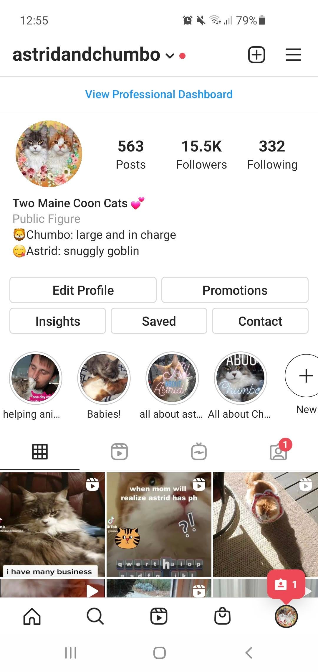 6 Reasons Why I Abandoned My 15k Follower Instagram Account By Zulie Rane The Startup Medium 6 Reasons Why I Abandoned My 15k Follower Instagram Account By Zulie Rane The Startup Medium