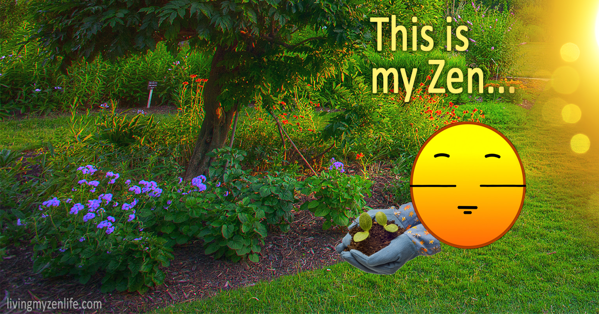 This is my Zen…. What is your Zen? by Drew Jenkins ILLUMINATION