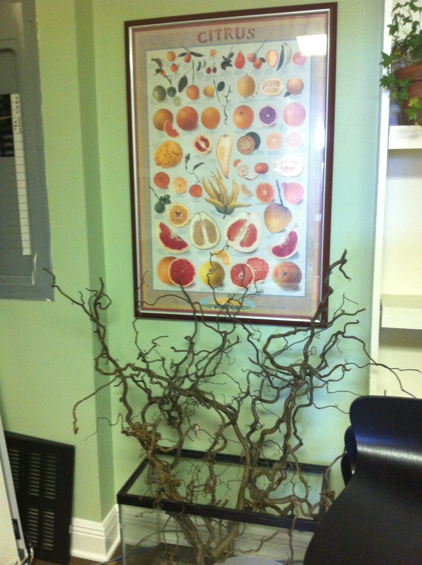 healthy hippie art exhibit