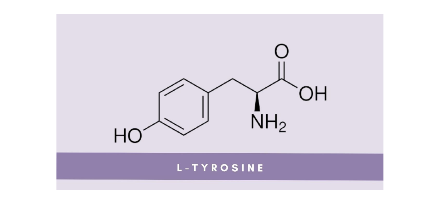 L tyrosine pre workout ingredient for focus