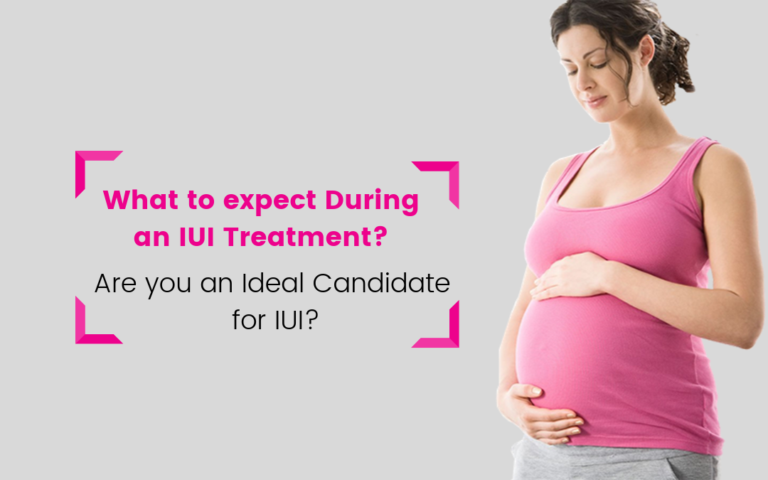 What Is IUI Procedure, Success Rates & Risks by Marica Jansen Medium