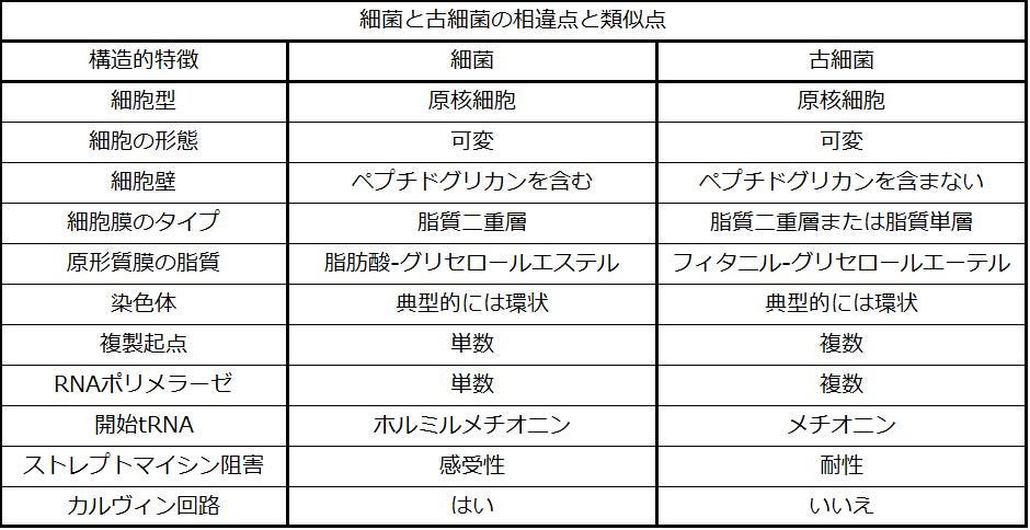 生物学 第2版 第22章 原核生物 細菌と古細菌 Japanese Translation Of Biology 2e By Better Late Than Never Medium