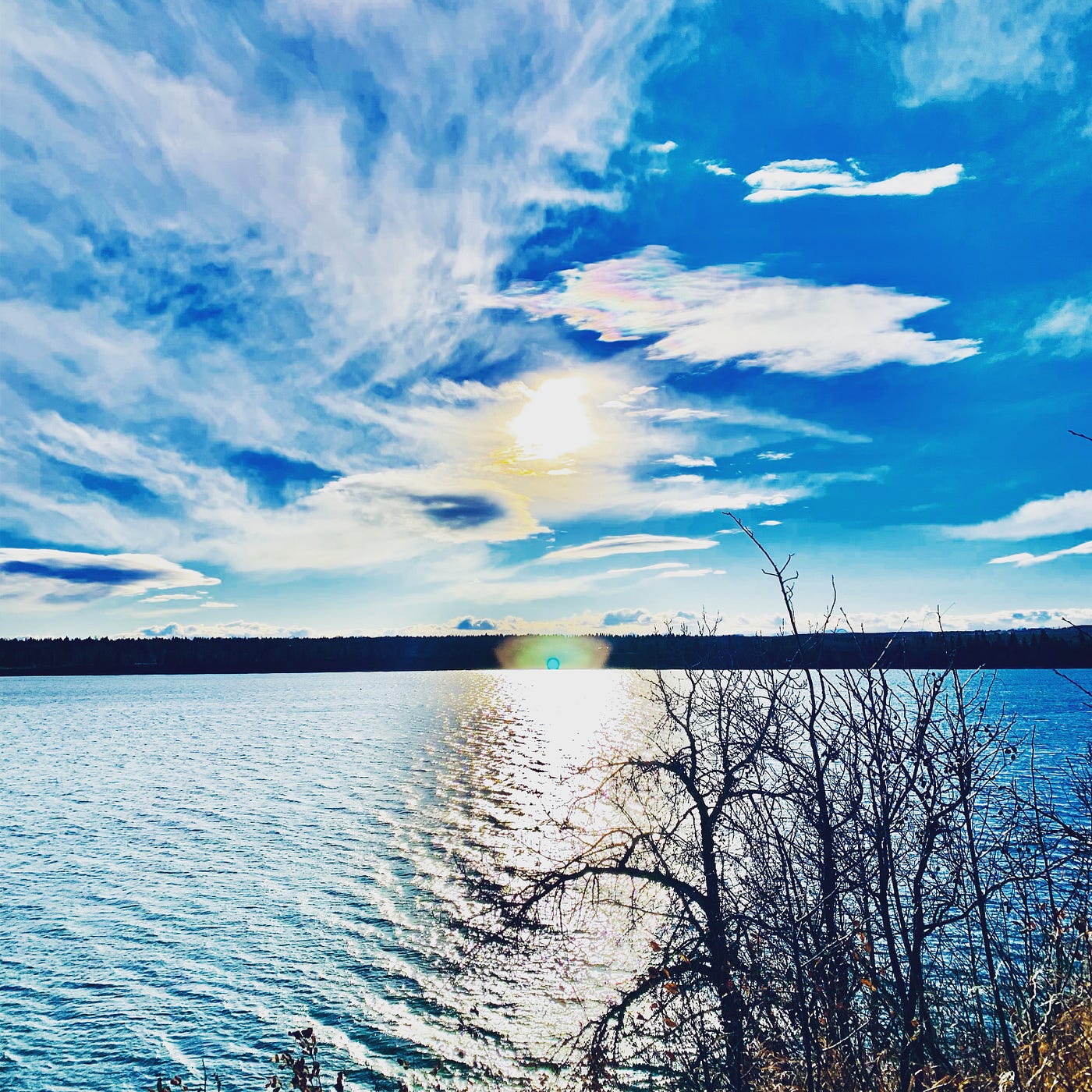 A Shamanic Healer Mended My Soul. The way I understand it is, if… | by