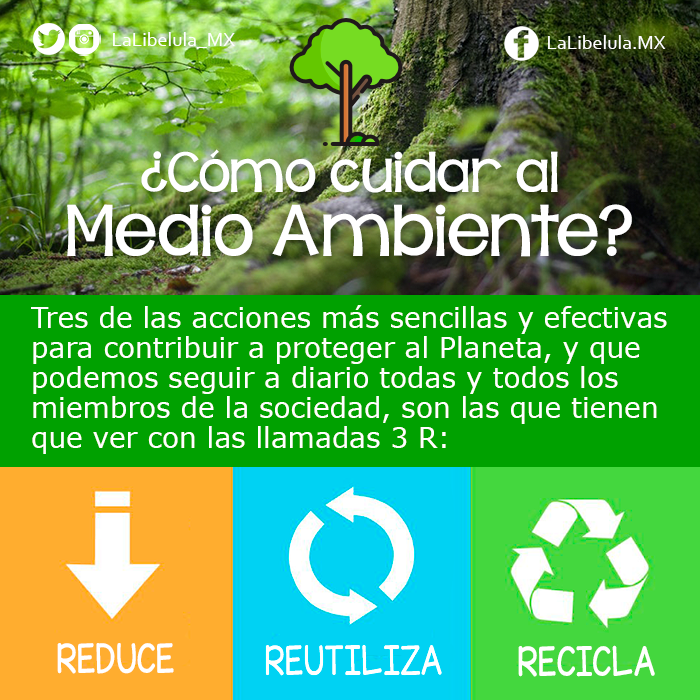 símbolo perdí mi camino sonrojo Cómo cuidar al medio ambiente?. Recicla, reutiliza pero sobre todo… | by La  Libélula México | Medium