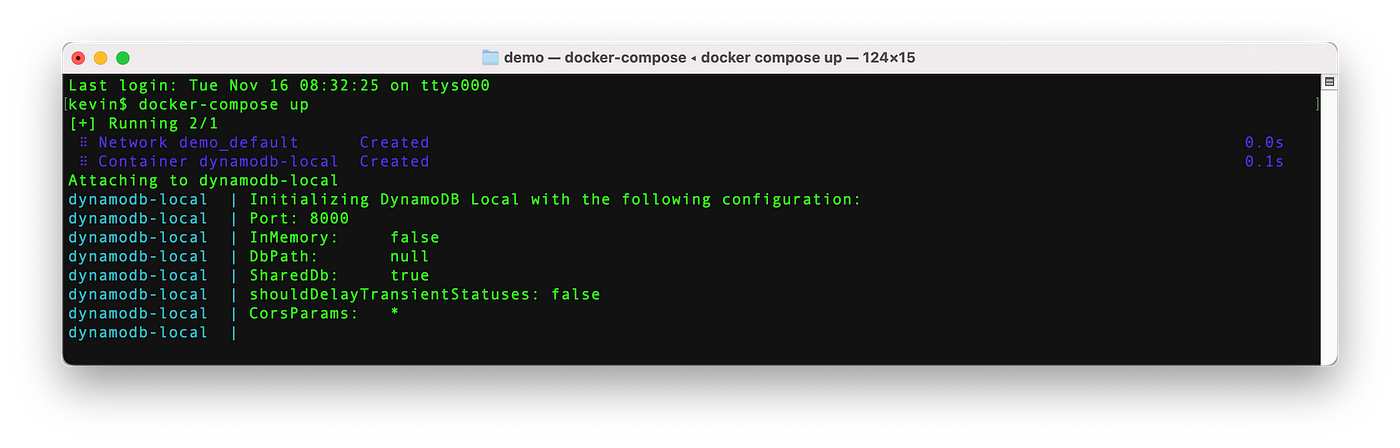 local dynamodb windows local dynamodb windows