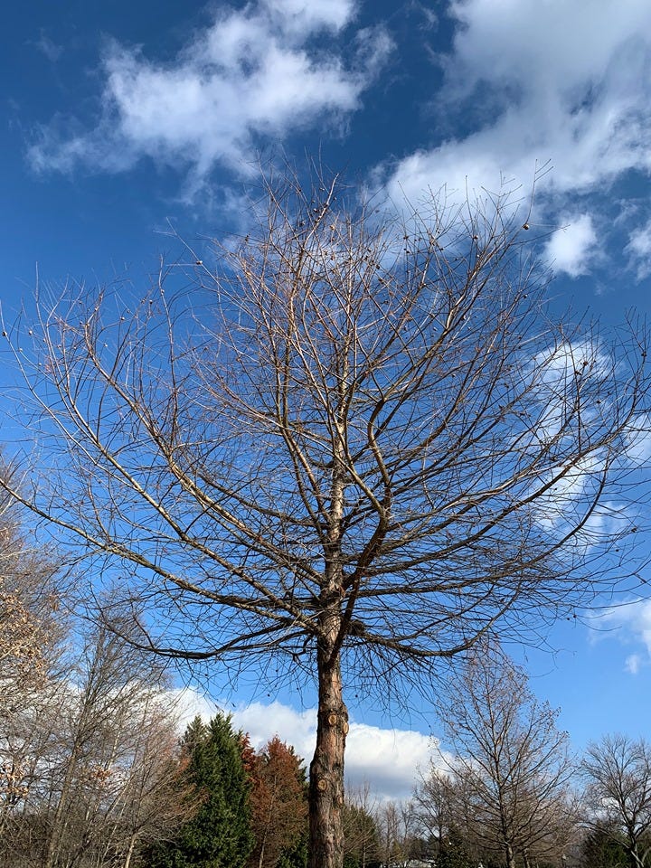 Sense of Minimalism — Poetry — Headless Now