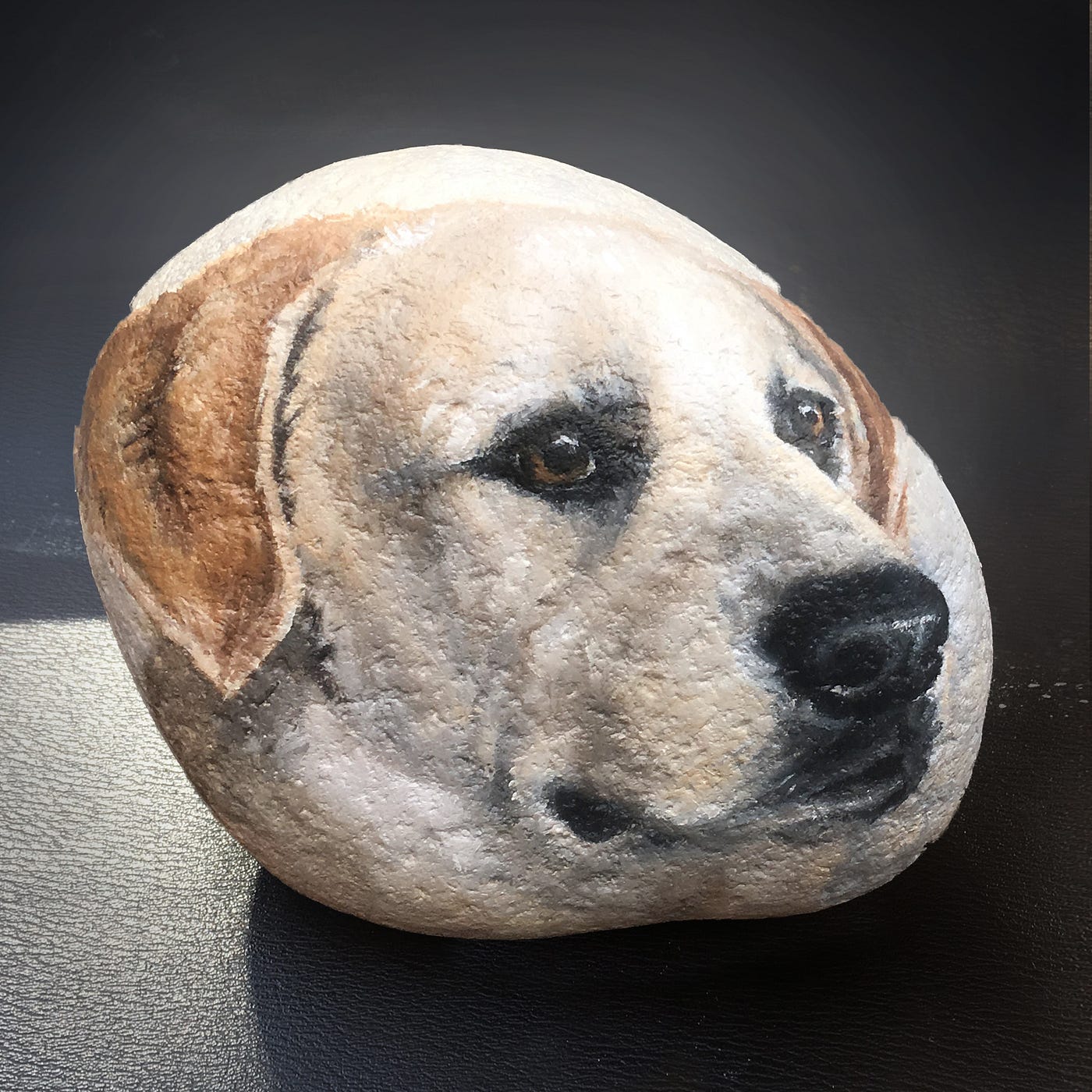 Can Dogs Recognize Cremated Ashes