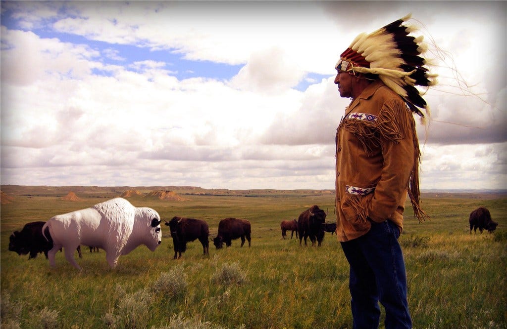 Catching Your Great White Buffalo | by Bowe Frankema Medium