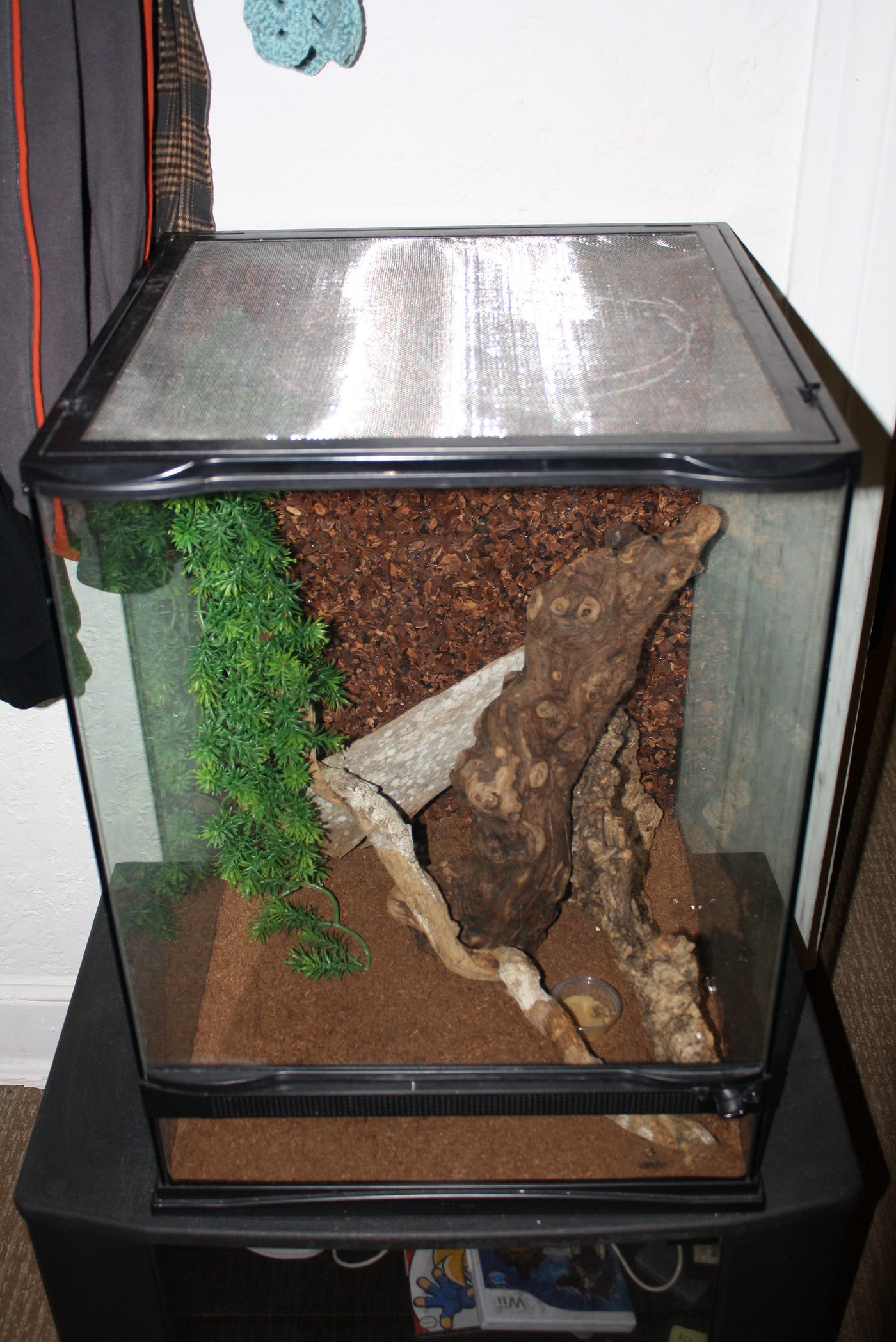 crested gecko mat