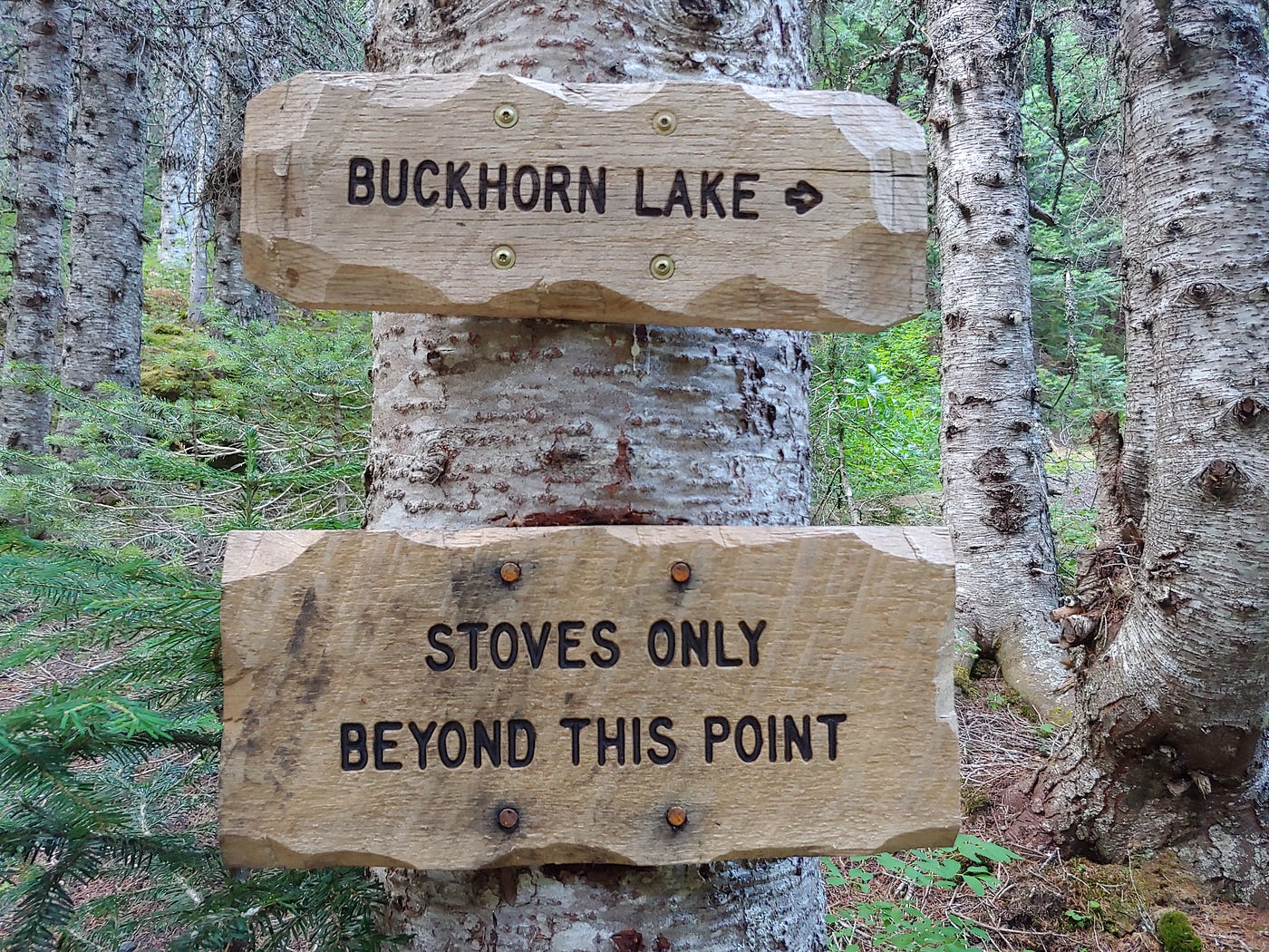 A trailside sign informs backpackers that campfires are not allowed beyond this point on Tubal Cain Trail in Olympic National Forest, but that camp stoves are allowed.