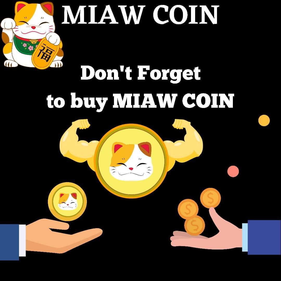 Miaw Miaw Medium