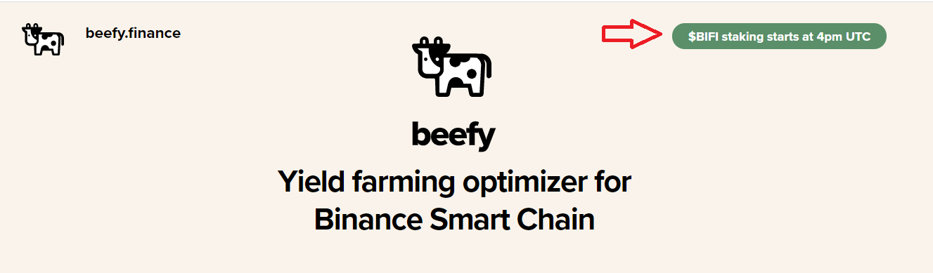 How To Stake In The Beefy Finance Governance Distribution By Xbeefy Beefy Finance Medium