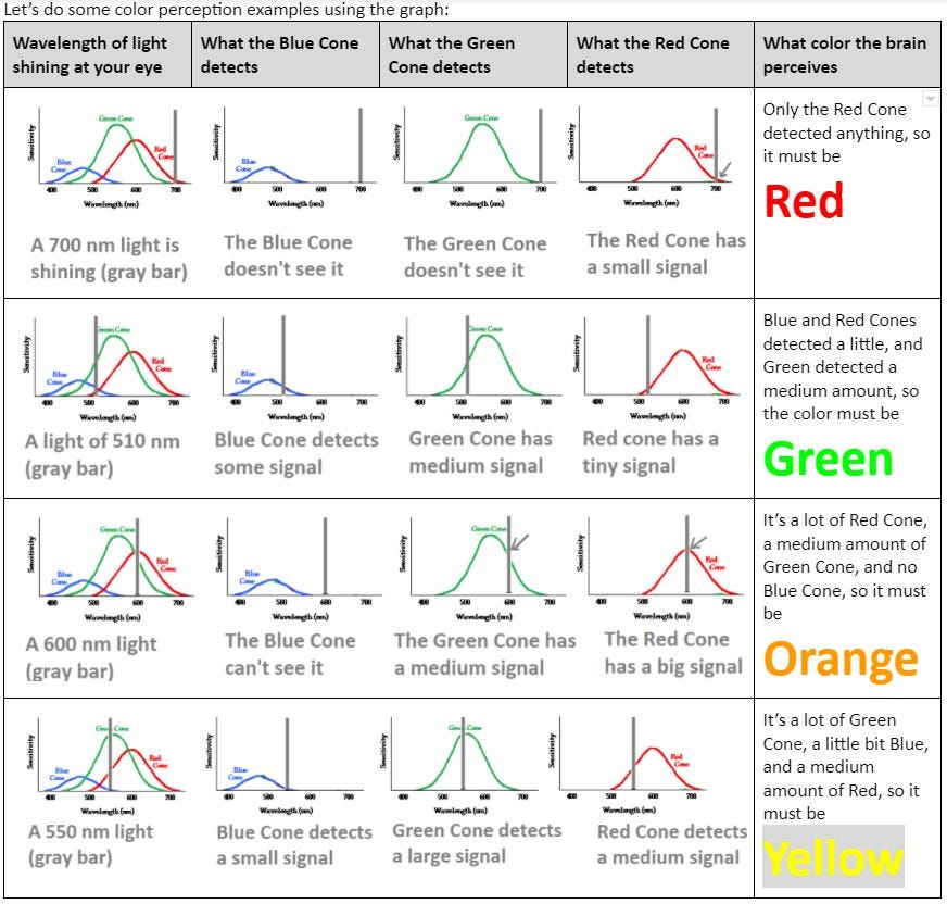 Red Light Green Light Yellow Light Here S How It Happens In The Eye And How To Teach It By Elissa Levy Age Of Awareness Medium