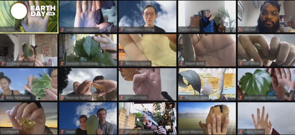 image of people in zoom room holding up leaves