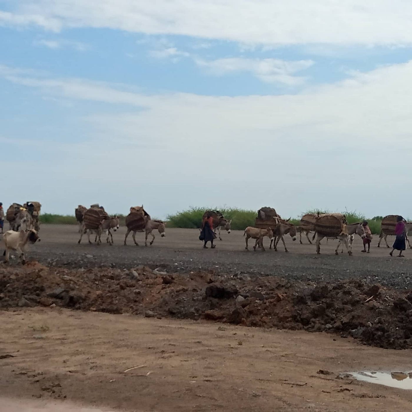 Most The Turkana Pastrolist Were Using Donkeys For Transportation But 