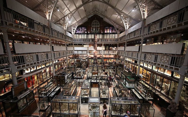 Pitt Rivers Museum