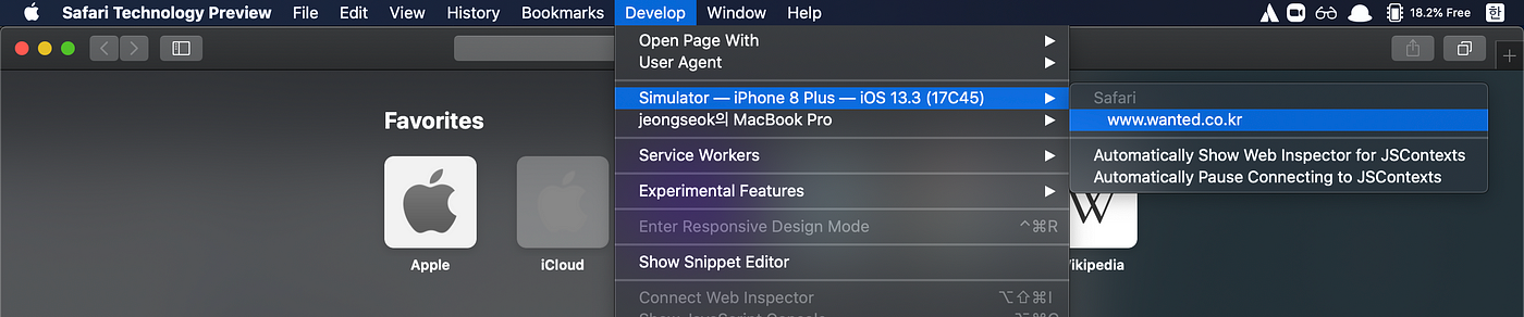 debug mac safari ipad emulator