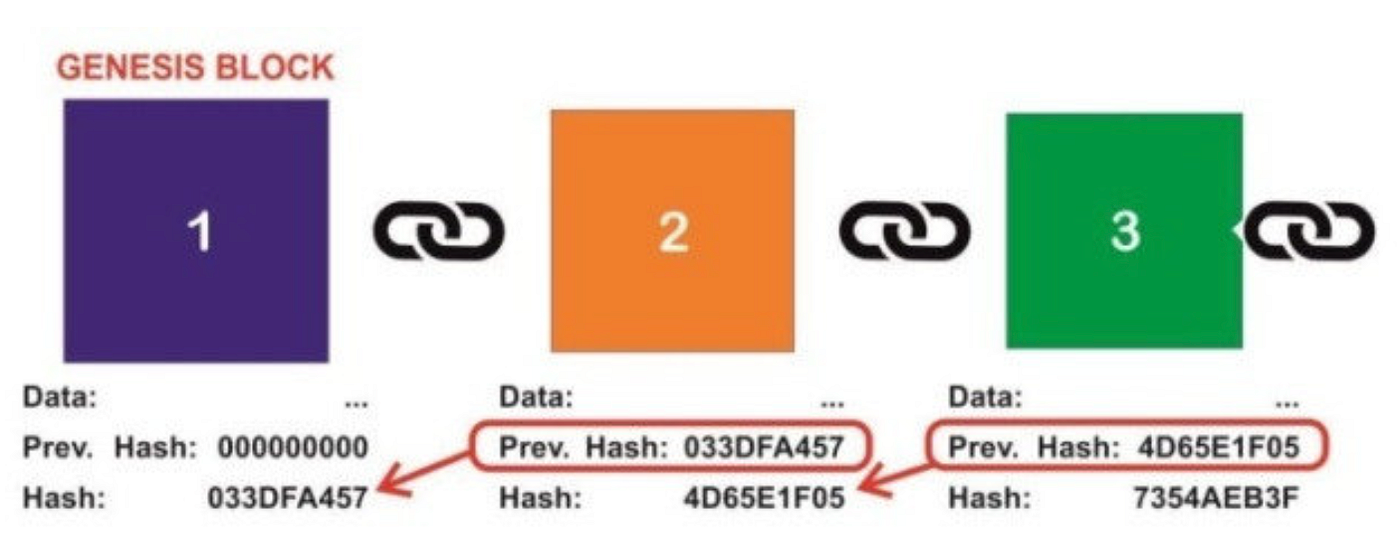 Diagram of Genesis Blockchain
