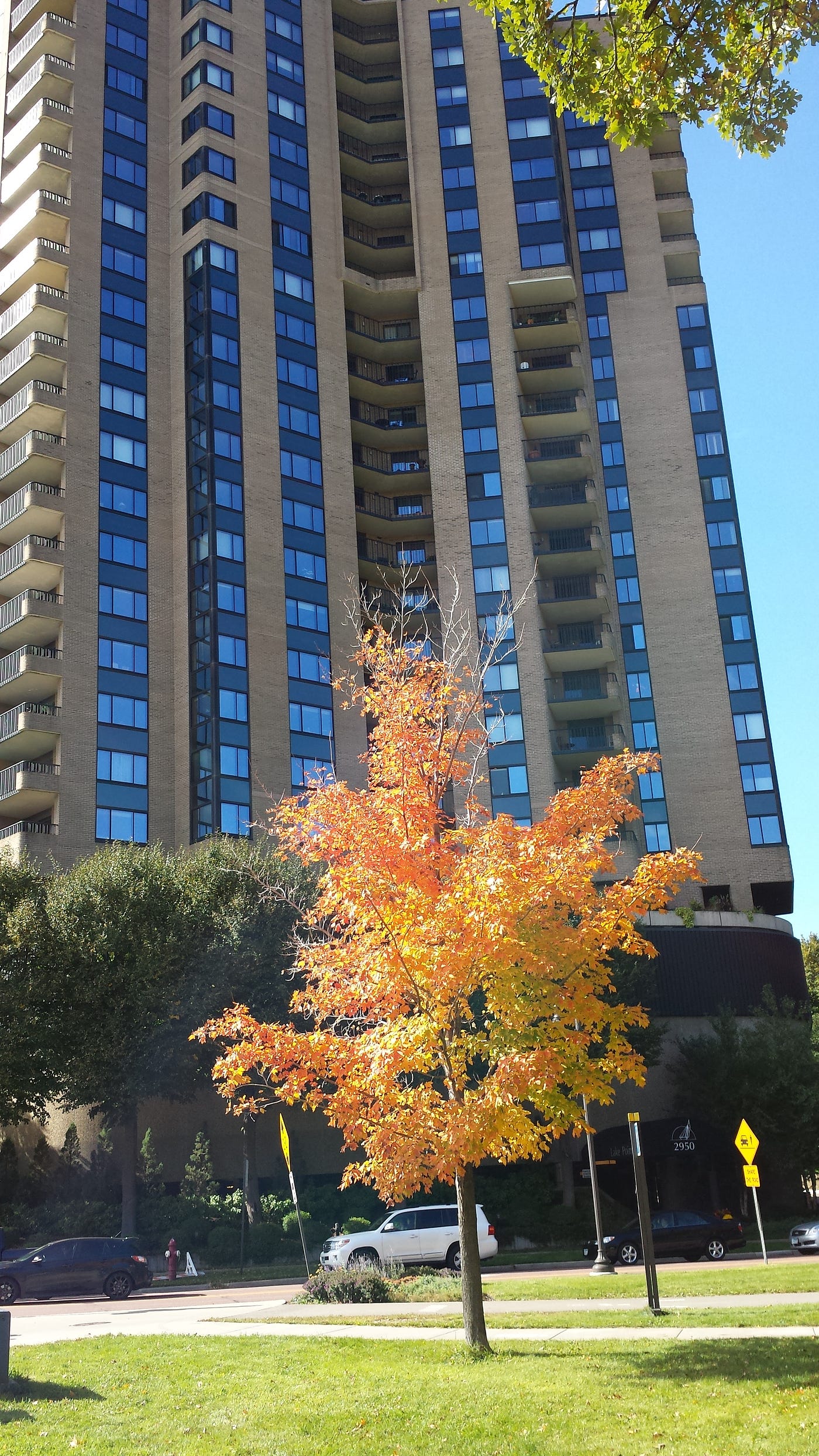 Eastern CedarIslesDean. The CedarIslesDean neighborhood has a… by Max Hailperin All of