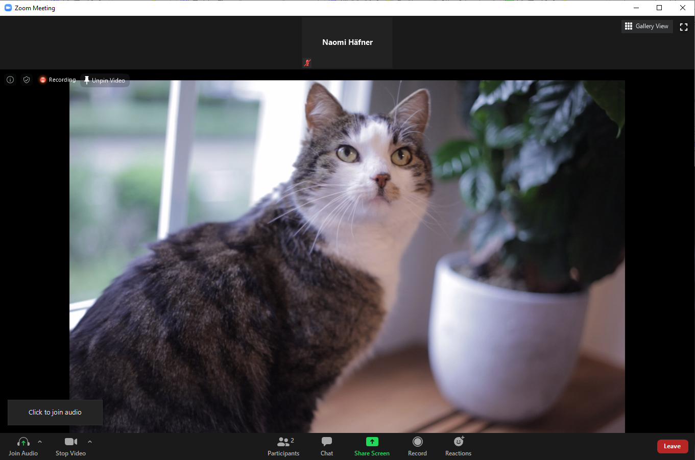Use (Any) Canon Camera as a Webcam for Zoom, Skype or Microsoft Teams | by  Naomi Haefner | Medium