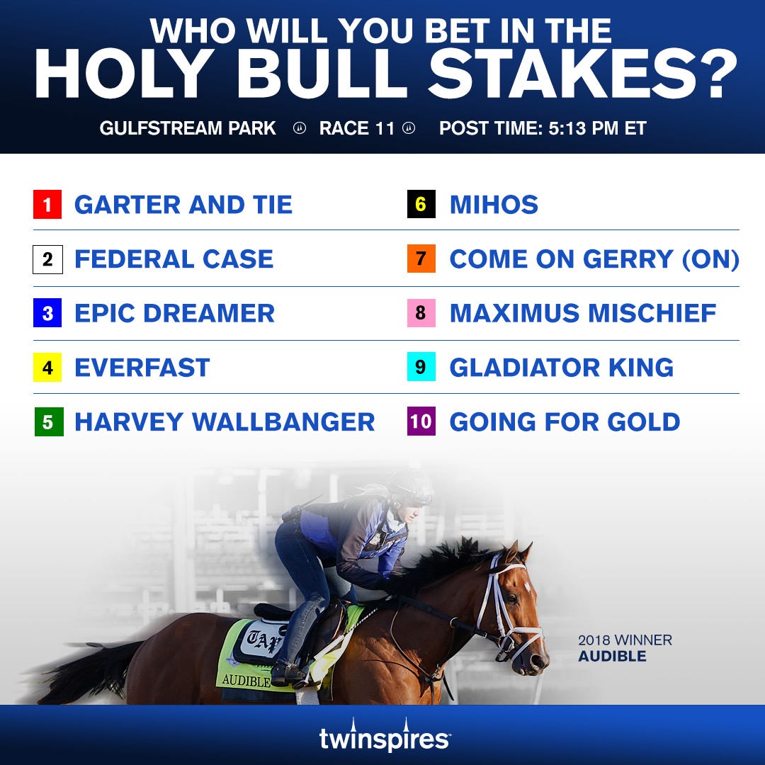 How to bet the Holy Bull Stakes. Road to the Kentucky Derby by