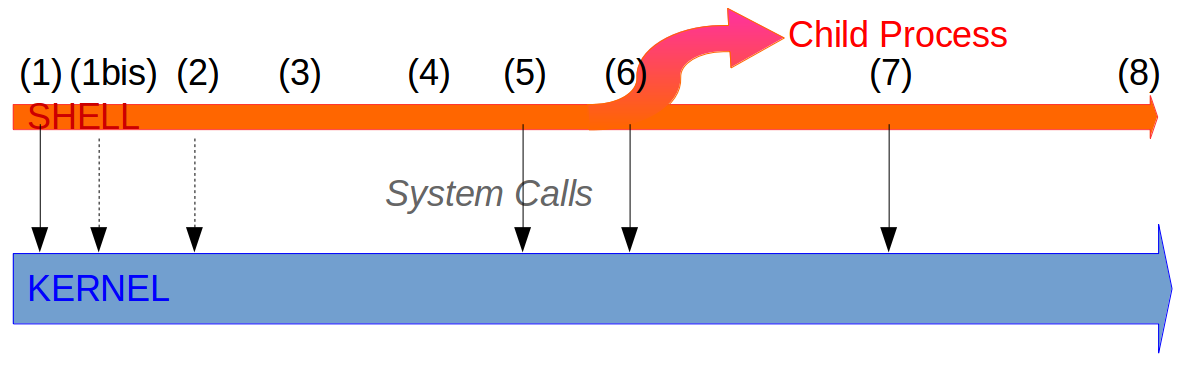 Parent-Child Processes. In this post, we’ll follow what happens… | by ...