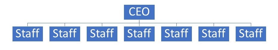 A basic organizational chart with CEO at the top and multiple staff members directly beneath.