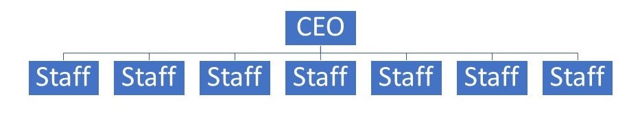 A basic organizational chart with CEO at the top and multiple staff members directly beneath.