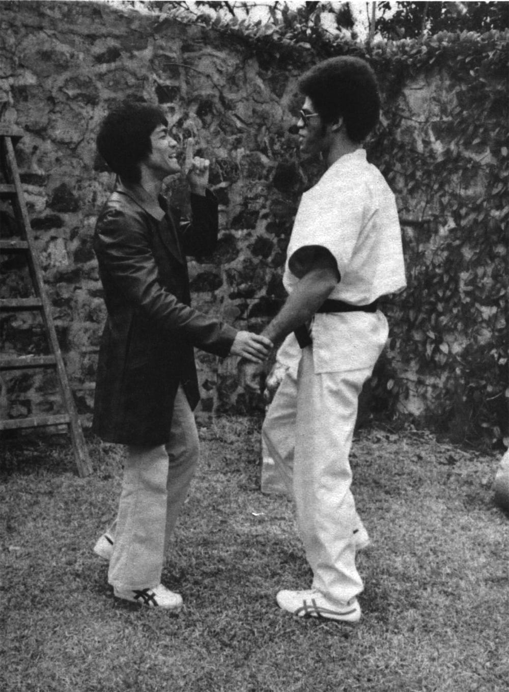 bruce lee onitsuka tigers