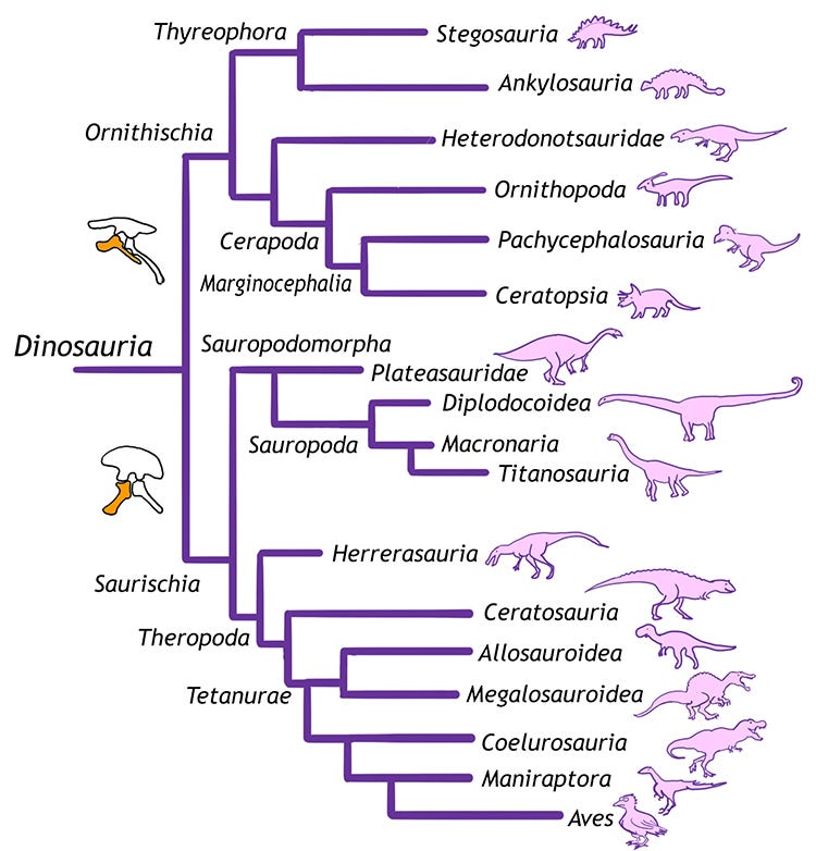 How Many Data Types Can You Name By Cassie Kozyrkov Towards Data Science