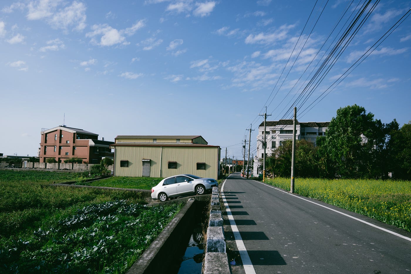 走春行大運|Photo by Houses Cheung ω Z6 II+ Z 24–70mm f/4