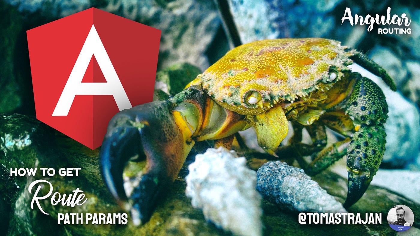 How To Get Route Path Parameters In Non-Routed Angular Components 🦀 | by  Tomas Trajan | Medium