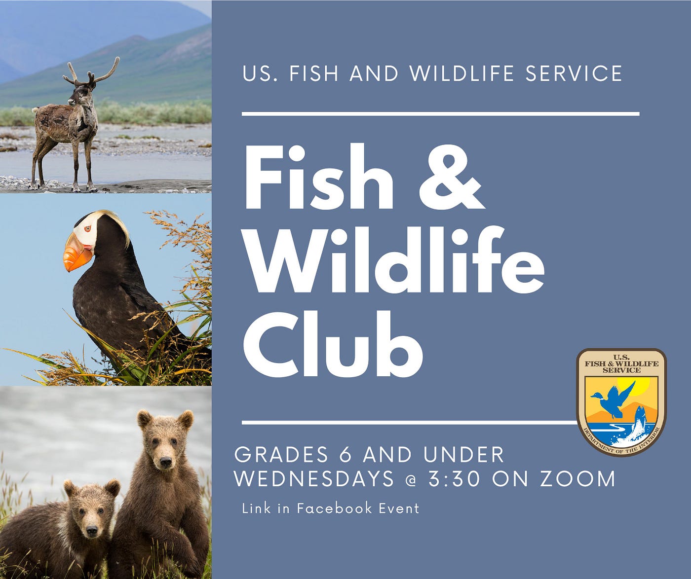 Poster with images of caribou, tufted puffin, and brown bear cubs, with text advertising the Fish and Wildlife Club program.