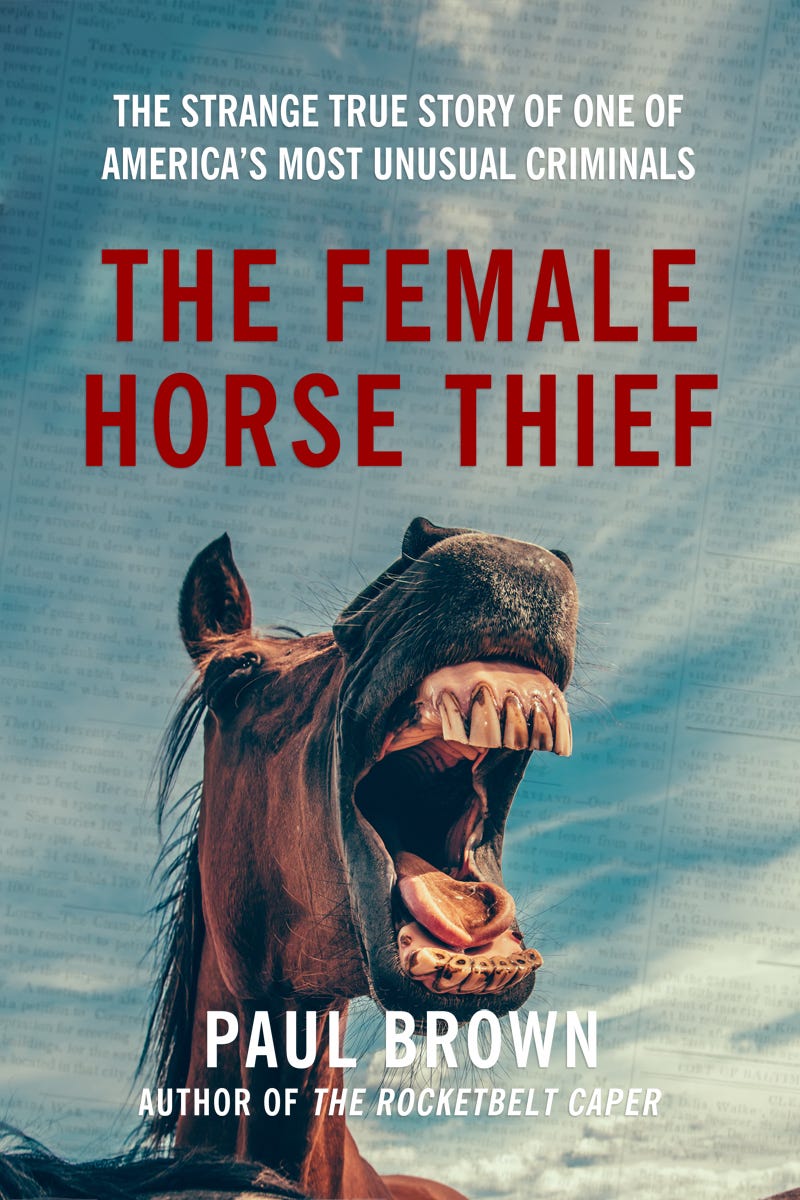 The Female Horse Thief by Paul Brown book cover