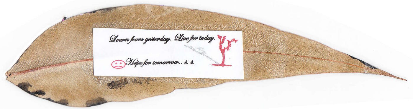 Back of leaf, by Susan
